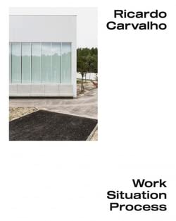 Ricardo Carvalho - Work Situation Process baixar o livro de graça