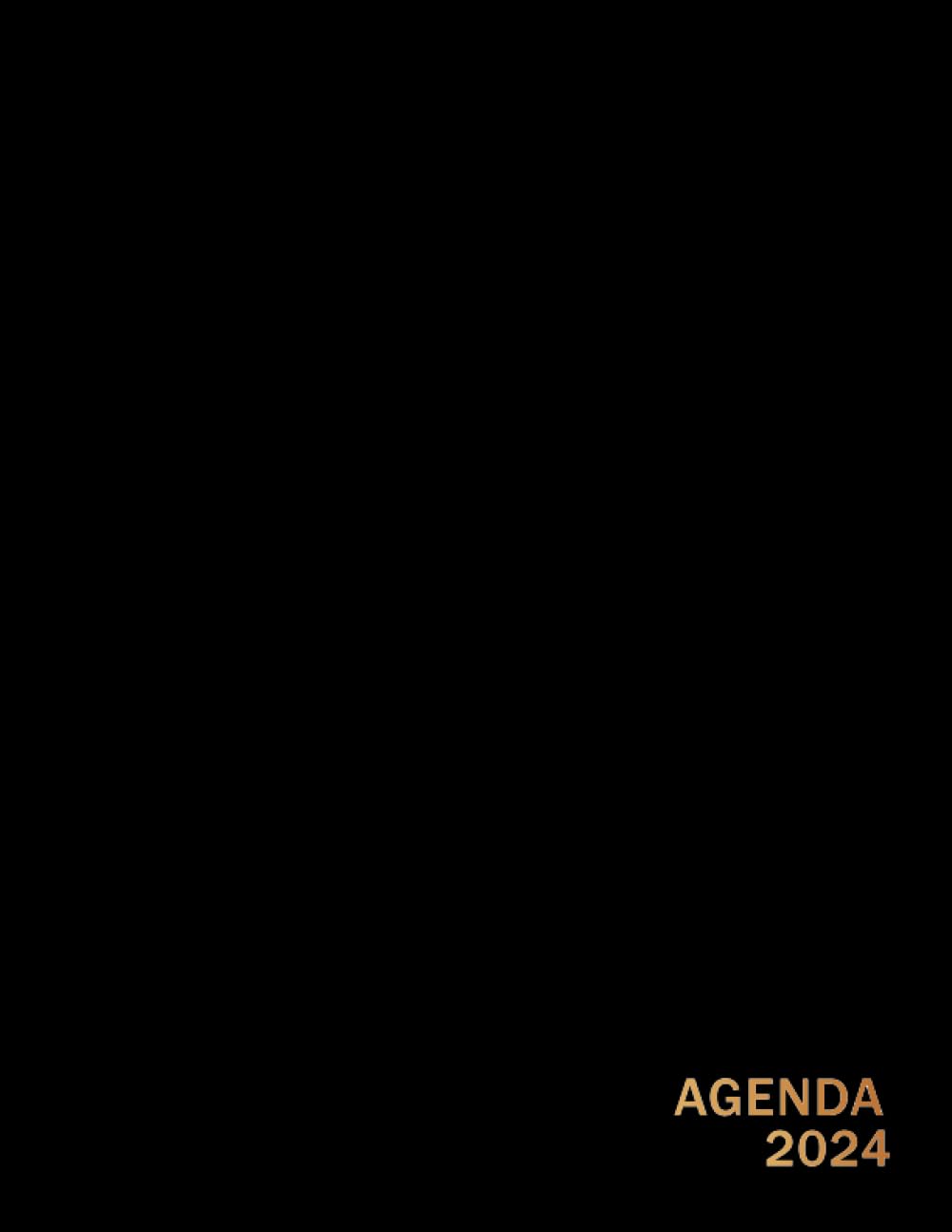 Agenda 2024 Semainier: Planificateur Hebdomadaire de 365 Jours et 12 Mois | 1 Semaine sur 2 Pages avec Heure, de Janvier à Décembre, A4 | Français | Couverture Mandala Noire Doré (French Edition) baixar o livro de graça