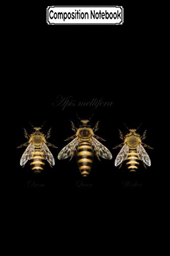 Composition Notebook: Honey bee apis mellifera Journal Notebook Blank Lined Ruled 6x9 100 Pages