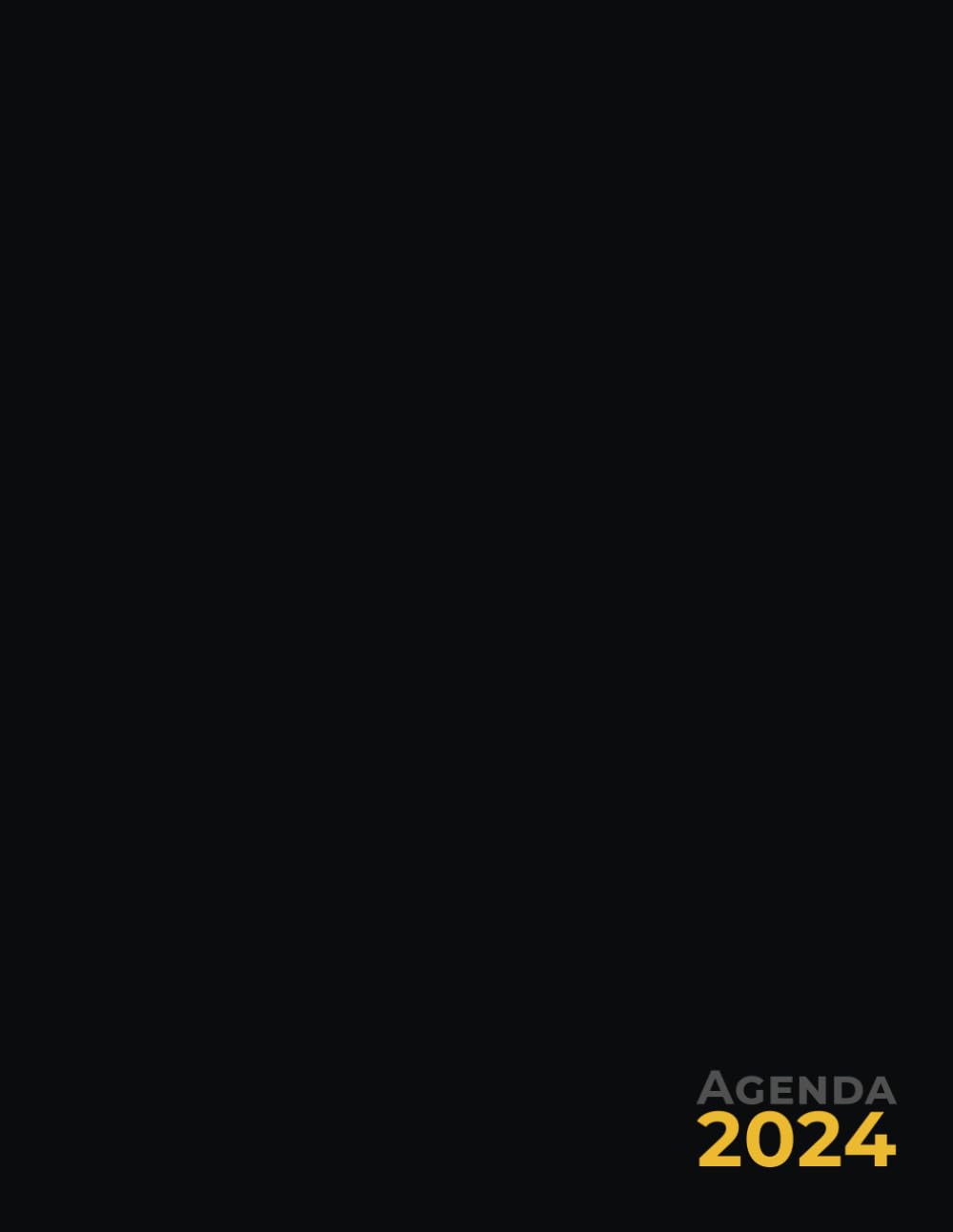 ler totalmente Agenda semainier 2024: Planificateur professionnel grand format, 2 pages par semaine, vacances scolaires en français, noir (French Edition)