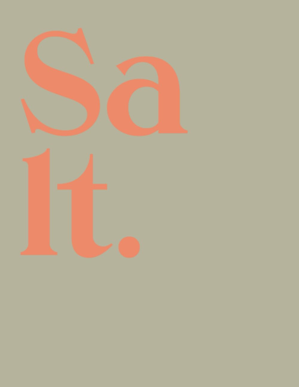 ler totalmente Salt: An Art Decor Book for Modern Interior Design Display | Stacking for Coffee Table & Bookshelves | Home Decor and Interior Design | 300 Lined Pages