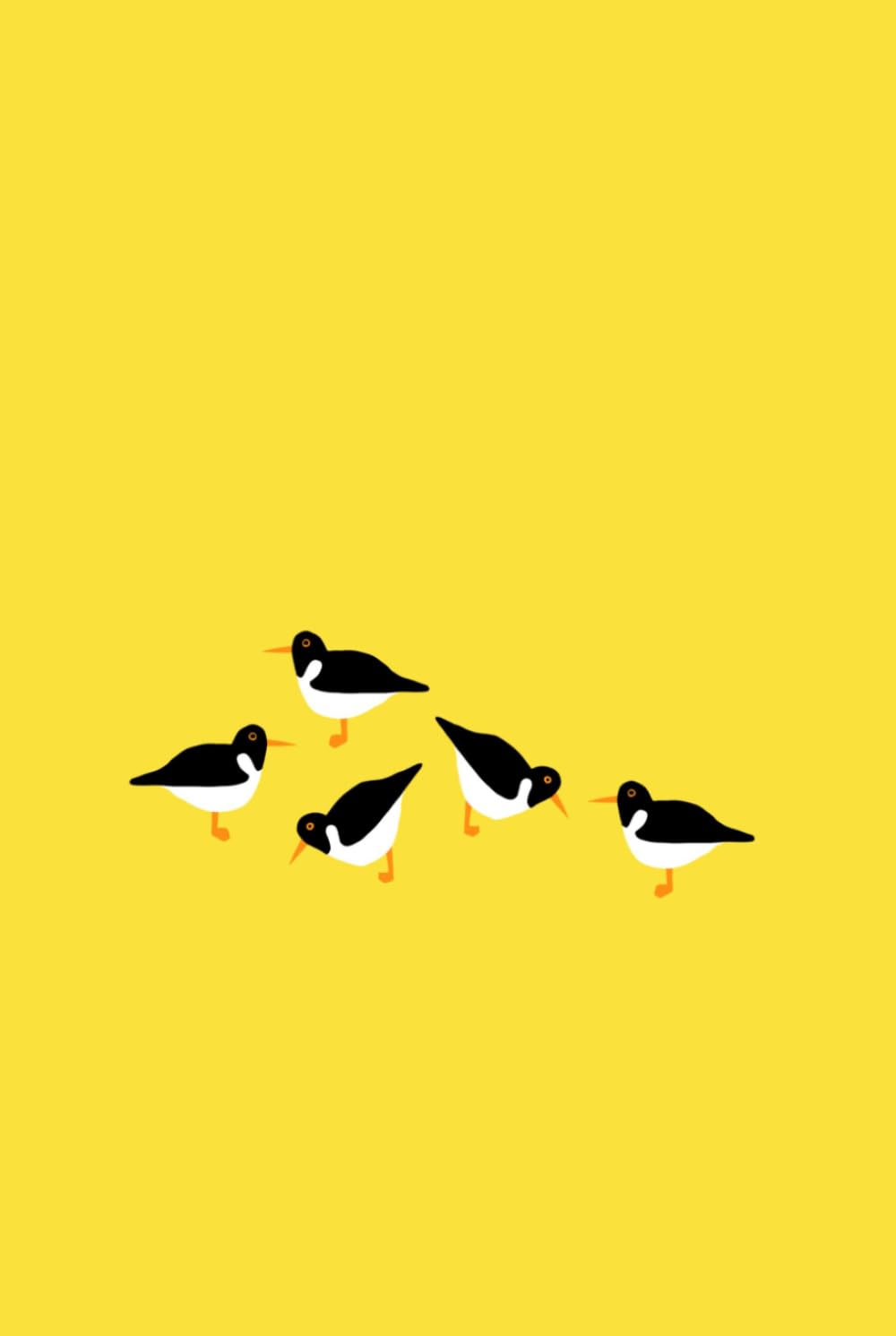 Oystercatchers Notebook: A Ruled 6” x 9” Notebook with 120 Pages and a Matte Cover for Birdwatchers, Nature Lovers and Wildlife Enthusiasts baixar o livro de graça