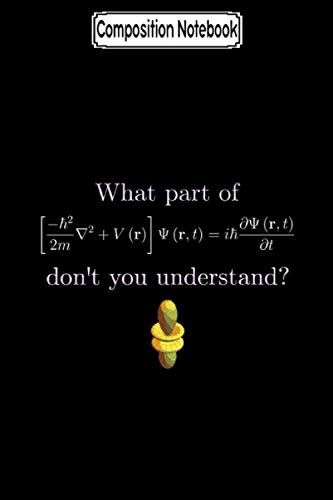 Composition Notebook: What part of schr&246;dinger dont you understand_ Journal Notebook Blank Lined Ruled 6x9 100 Pages baixar livro de graça