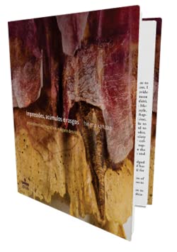 Impressões, Acúmulos e Rasgos. Procedimentos Litográficos e Alguns Desvios baixar o livro de graça