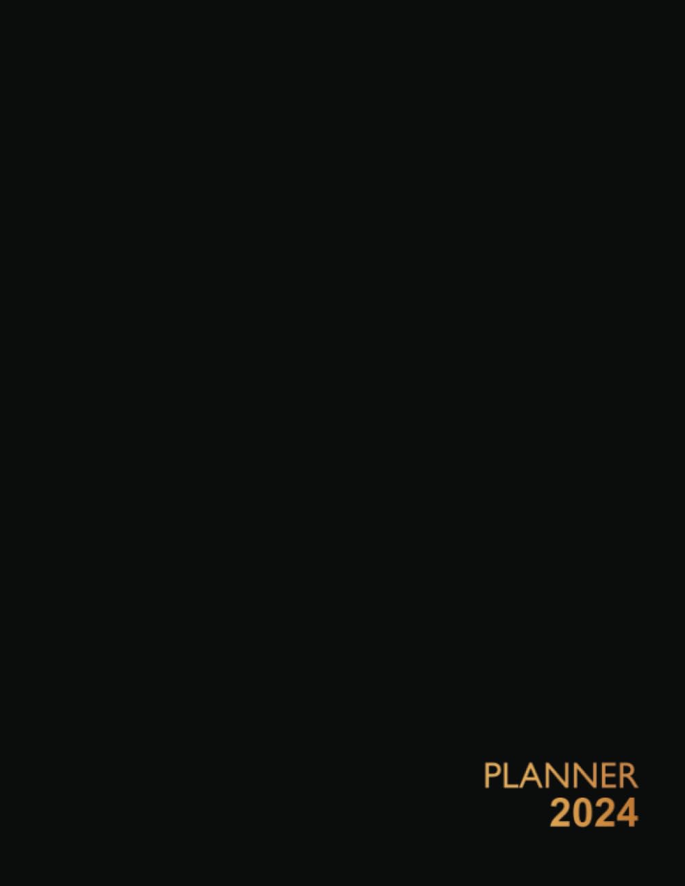 2024 Weekly Planner with Hourly Time Slots: 8.5" x 11" - Jan.2024 - Dec.2024 - Appointment Organizer - Black Cover baixar o livro de graça