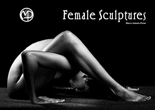 Female Sculptures - Esculturas Femininas baixar o livro de graça