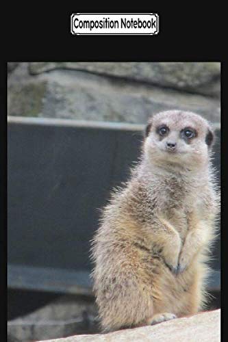 Composition Notebook: Meerkats animals Journal Notebook Blank Lined Ruled 6x9 100 Pages baixar livro de graça