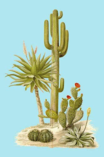 InspirationzStore Notebooks: Desert Cactus Drawing Discreet Internet Password Book Organizer Vintage Cacti Mint Blue Cover A5 Notebook Logbook, website login details keeper Online Accounts manager baixar o livro de graça