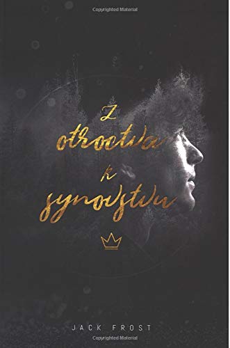 Z Otroctva k Synovstvu (Slovak Edition) baixar livro de graça
