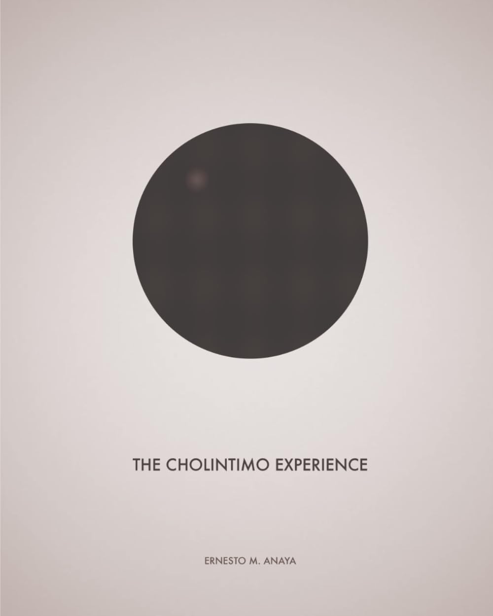 The Cholintimo Experience: Guion cinematográfico y volumen de storyboards (Spanish Edition) baixar livro de graça