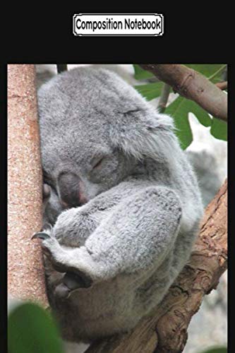 Composition Notebook: Koala australia animals Journal Notebook Blank Lined Ruled 6x9 100 Pages