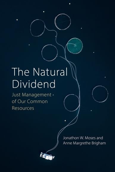 Natural Dividend: Just Management of our Common Resources (English Edition) baixar o livro de graça