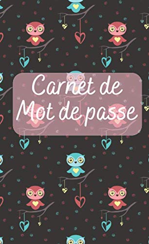 Carnet de mot de passe: Le livre est un carnet de mot de passe permet d'écrit vos adresses internet et codes secrets en sécurité. (French Edition) baixar o livro de graça