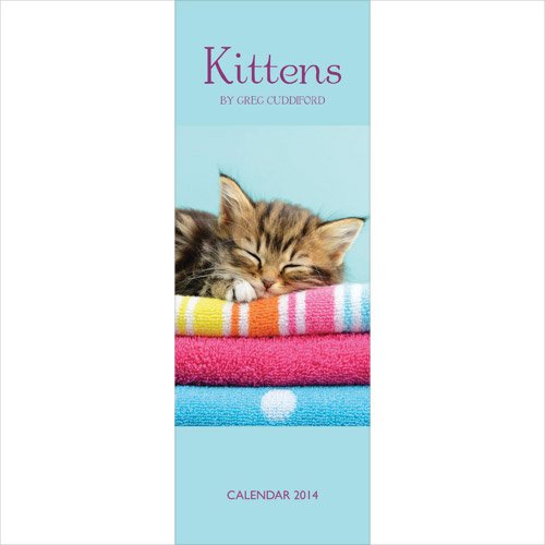 Kittens By Greg Cuddiford Slim Calendar