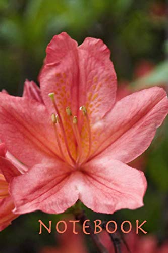 Notebook: Gratitude Travel Diary - Rhododendron Flower Photography SketchBook - Heart Chakra Healing Journal baixar livro de graça