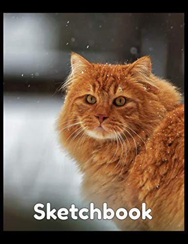 Sketchbook: Cute Cat Design Kitty (8.5 x11) (Galaxy Sketchbooks)