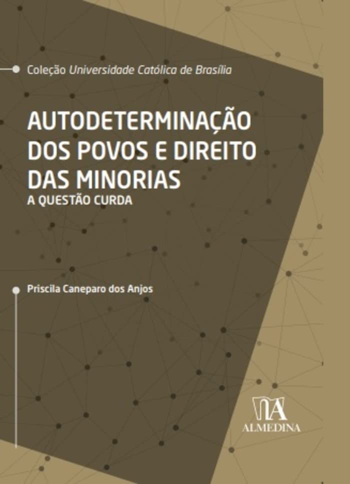 Autodeterminação dos povos e direito das minorias: a questão curda baixar livro de graça