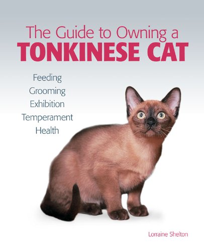 ler totalmente Guide to Owning a Tonkinese Cat (English Edition)