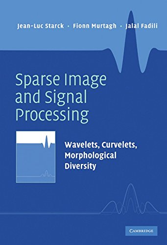 Sparse Image and Signal Processing: Wavelets, Curvelets, Morphological Diversity baixar o livro de graça