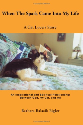 When The Spark Came Into My Life baixar o livro de graça