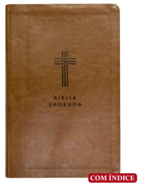 Bíblia letra gigante NVI - marrom c/índice - Mapas Mentais baixar o livro de graça