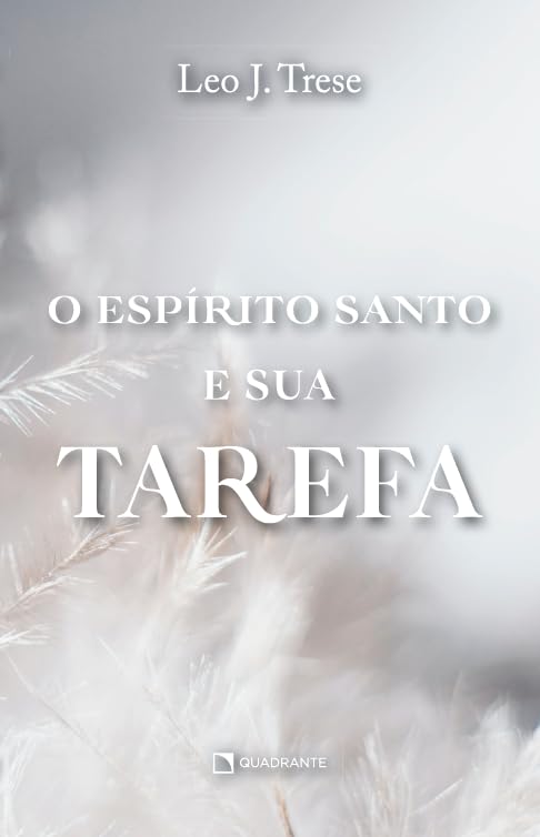 O Espírito Santo e sua tarefa