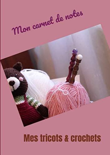 ler totalmente Mon carnet de notes Mes tricots & crochets: Pour femme,fille,tricoteuse aguerries ou débutantes Grand format Papier millimétré 100 pages + 20 en bonus... Notez votre matériel,points (French Edition)