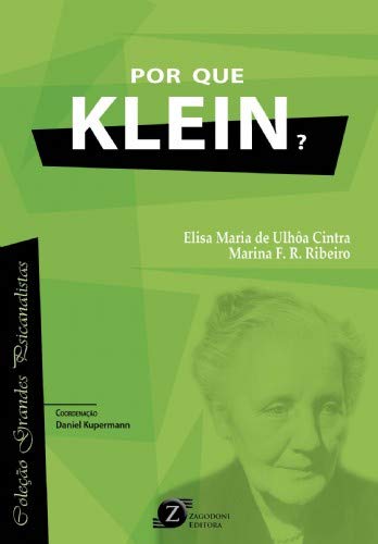 Por que Klein? baixar o livro de graça