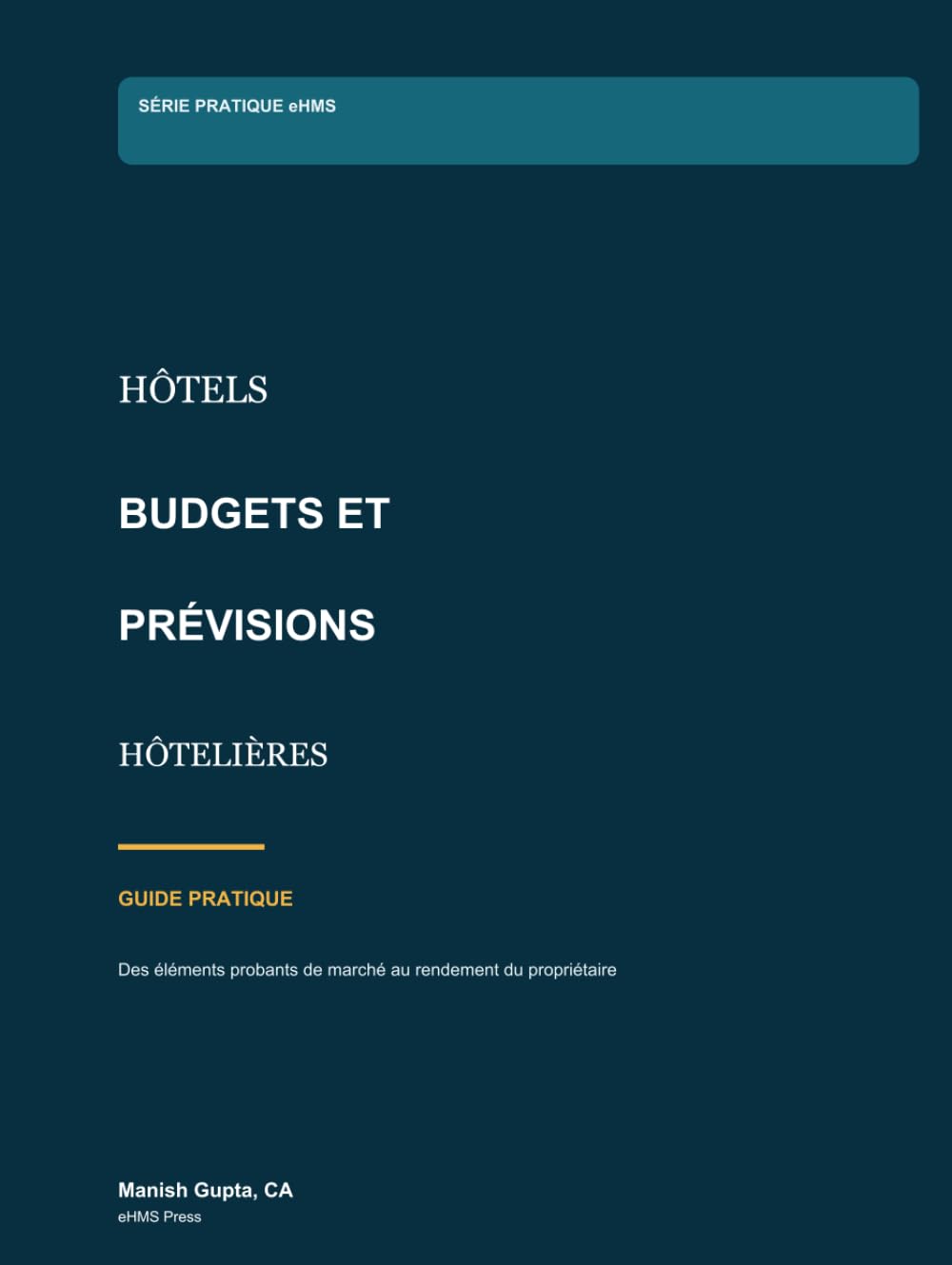 Budgets et prévisions hôtelières en pratique: Guide pratique (Hotel Financial Library) (French Edition) baixar o livro de graça