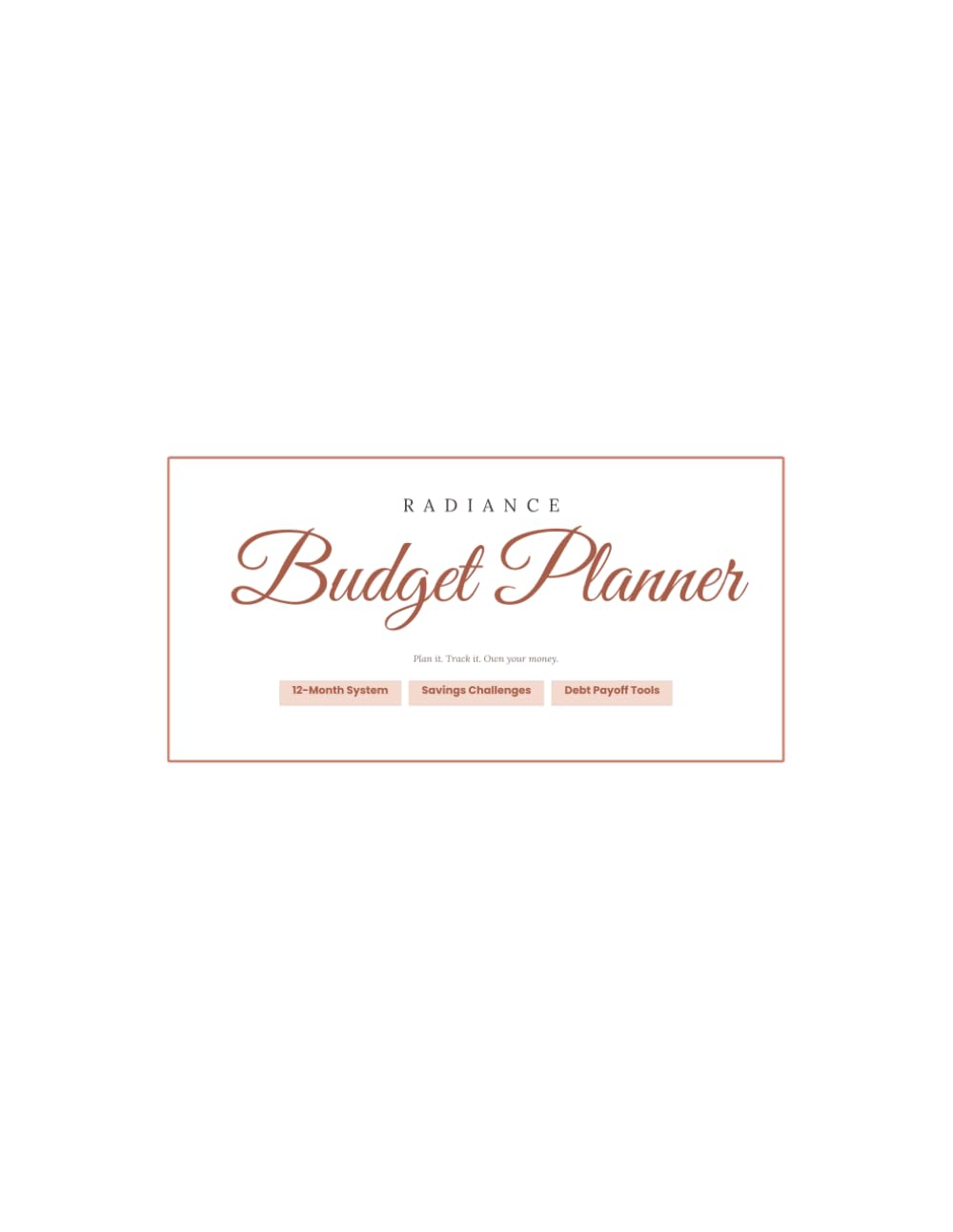 Budget planner: Plan, Organize & Grow Your Business baixar o livro de graça