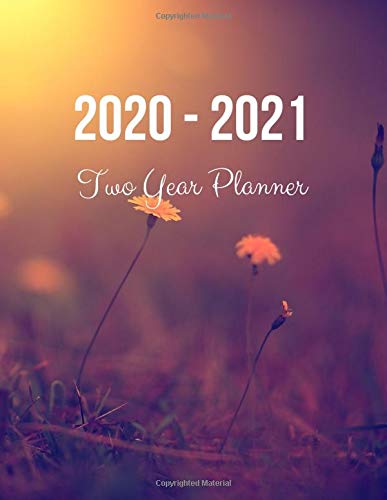 2020-2021 Two Year Planner: Vintage Flower Cover | 2020 Planner Weekly and Monthly | Jan 1, 2020 to Dec 31, 2021 | Calendar Views (Vol 7) baixar livro de graça