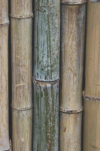 Notebook: Composition Notebook: Ruled Lined Paper Notebook Journal. Beautiful Bamboo Poles Design. 6 X 9, 120 Ruled Pages, No Margins, White Paper, Matte Finished Soft Cover baixar o livro de graça