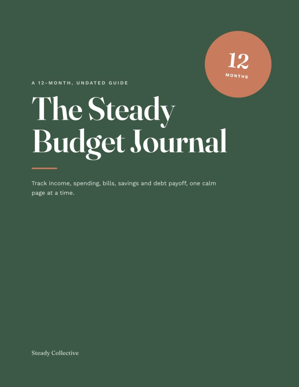 ler totalmente The Steady Budget Journal