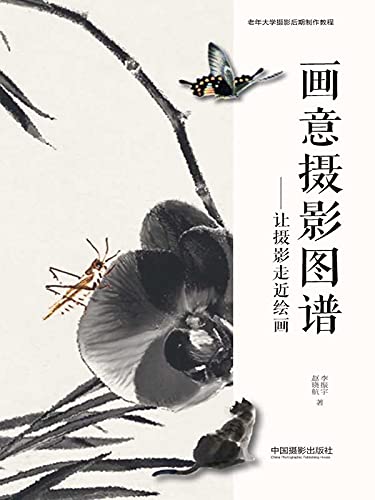 画意摄影图谱——让摄影走近绘画 (Chinese Edition)