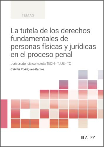 La tutela de los derechos fundamentales de personas físicas y jurídicas en el proceso penal: Jurisprudencia completa del TEDH, TJUE y TC baixar livro de graça