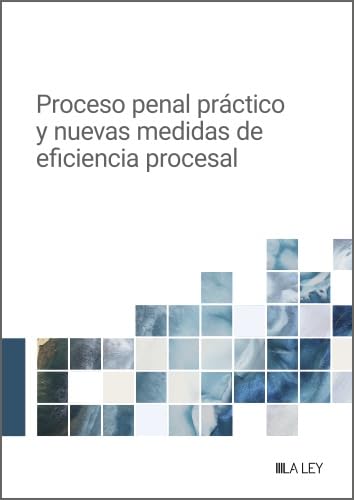 Proceso penal práctico y nuevas medidas de eficiencia procesal (Spanish Edition)