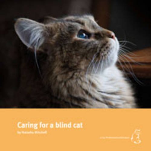Caring for a blind cat (English Edition) baixar livro de graça