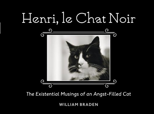 ler totalmente Henri, le Chat Noir: The Existential Musings of an Angst-Filled Cat (English Edition)