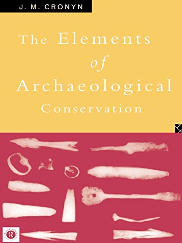 capítulo por capítulo baixar Elements of Archaeological Conservation (English Edition)