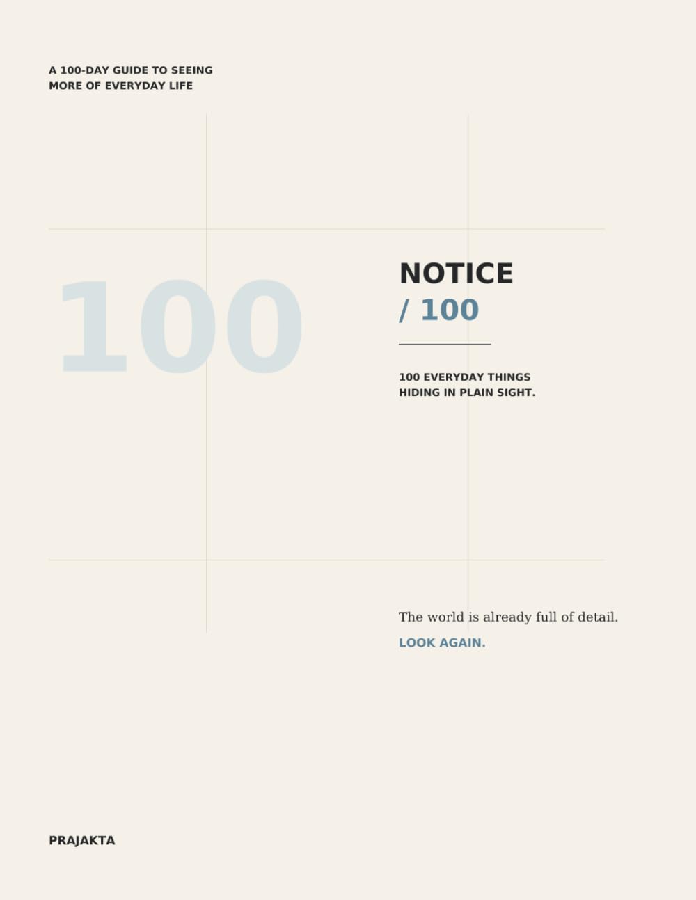 NOTICE / 100: 100 Everyday Things Hiding in Plain Sight baixar o livro de graça