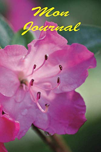 Mon journal (Fleurs) (French Edition) baixar o livro de graça