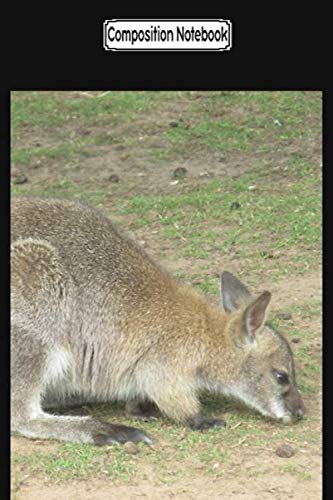 Composition Notebook: Kangeroo animals joey Journal Notebook Blank Lined Ruled 6x9 100 Pages baixar livro de graça