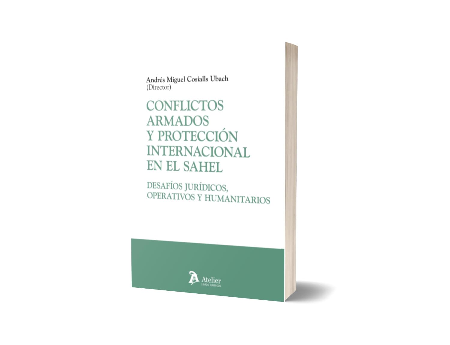 ler totalmente Conflictos armados y protección internacional en el Sahel: desafíos jurídicos, operativos y humanitarios