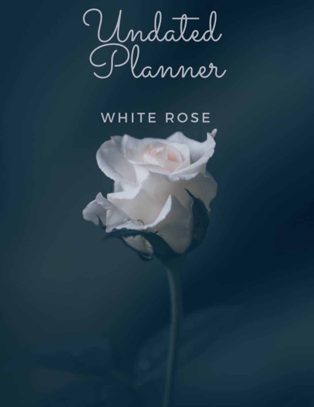 White Rose Undated Planner: The White Rose with 2 years plans and 24 months with Flexible Glossy Cover baixar livro de graça