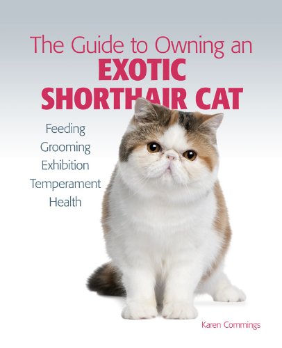 ler totalmente Guide to Owning an Exotic Shorthair Cat (The Guide to Owning) (English Edition)