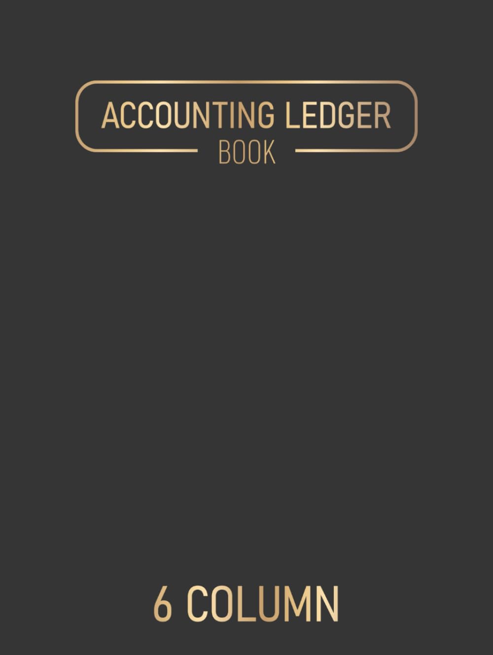 Accounting Ledger Sheets: 6 Column Cash Budget Columnar Book For Small Business and Personal Finance baixar livro de graça