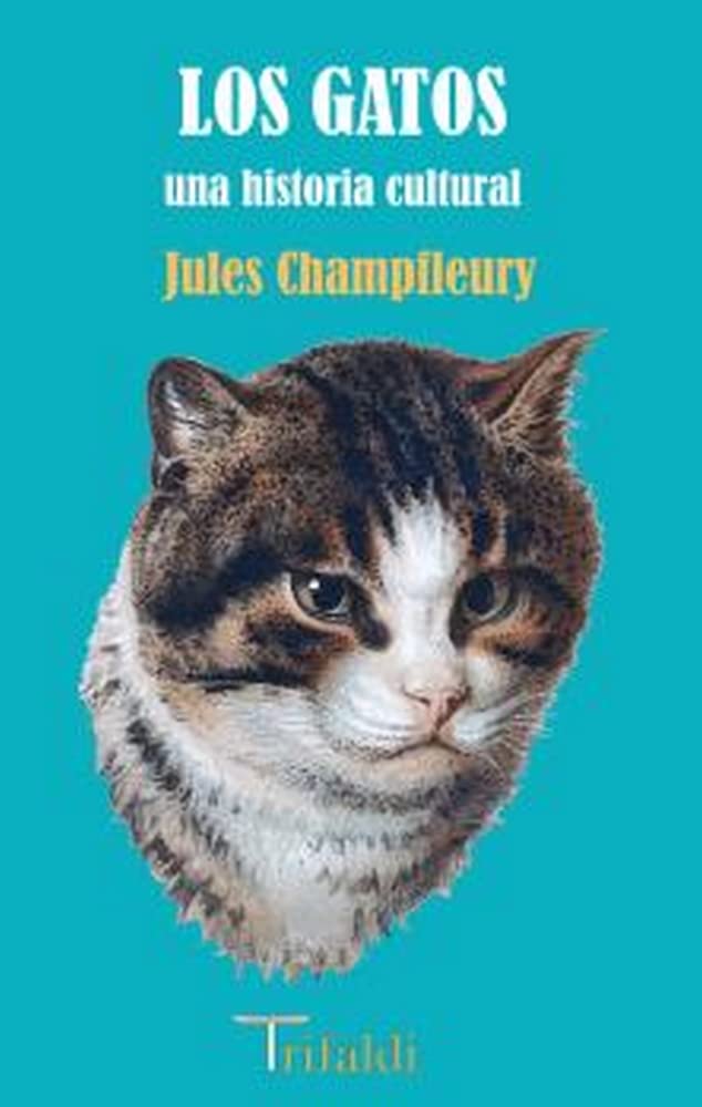 Los gatos: 11 baixar livro de graça