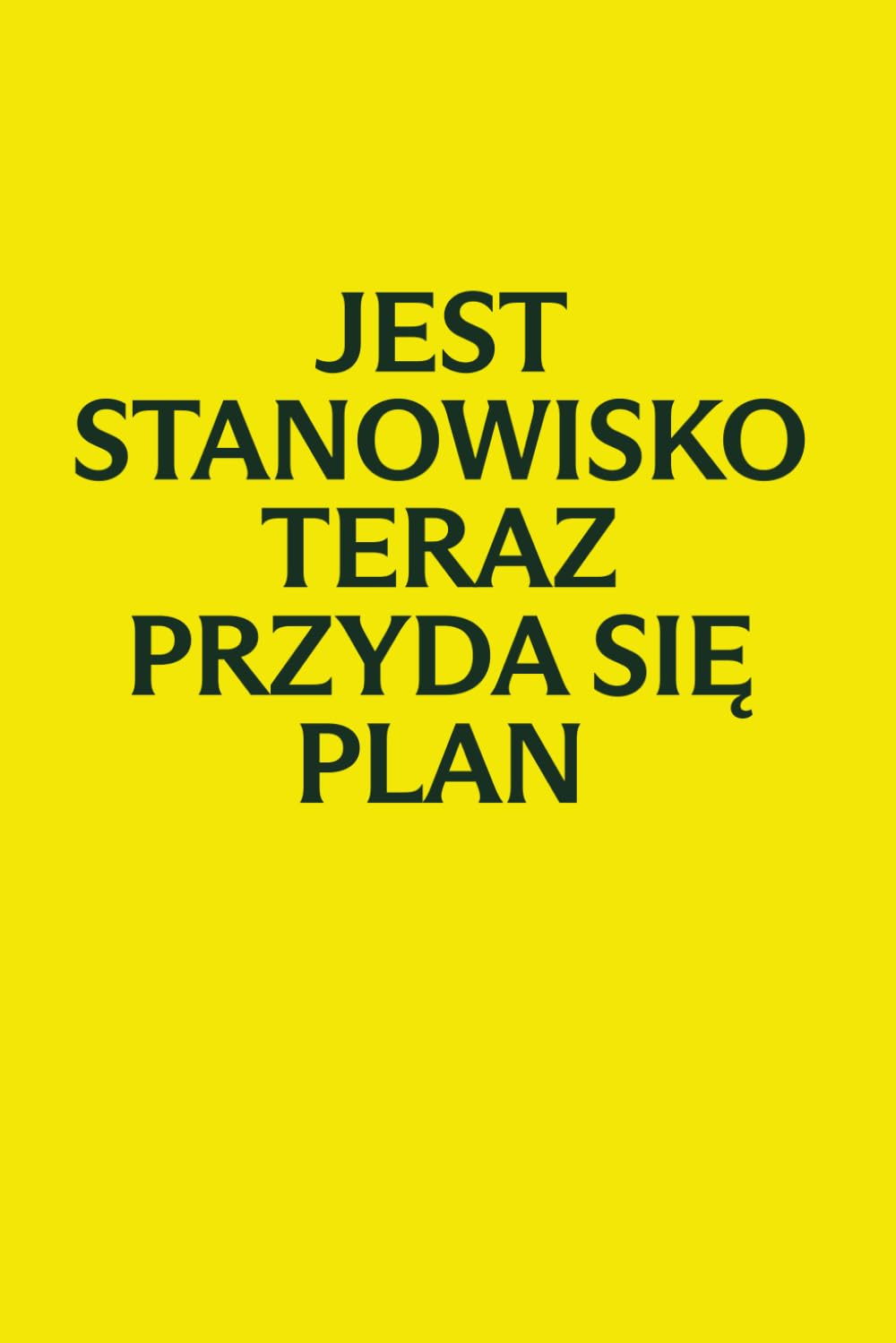 Jest stanowisko, teraz przyda się plan: Notes w linie, notatnik do pracy, planowania i nowych wyzwań | Prezent z okazji awansu | 100 stron (Polish Edition) baixar o livro de graça