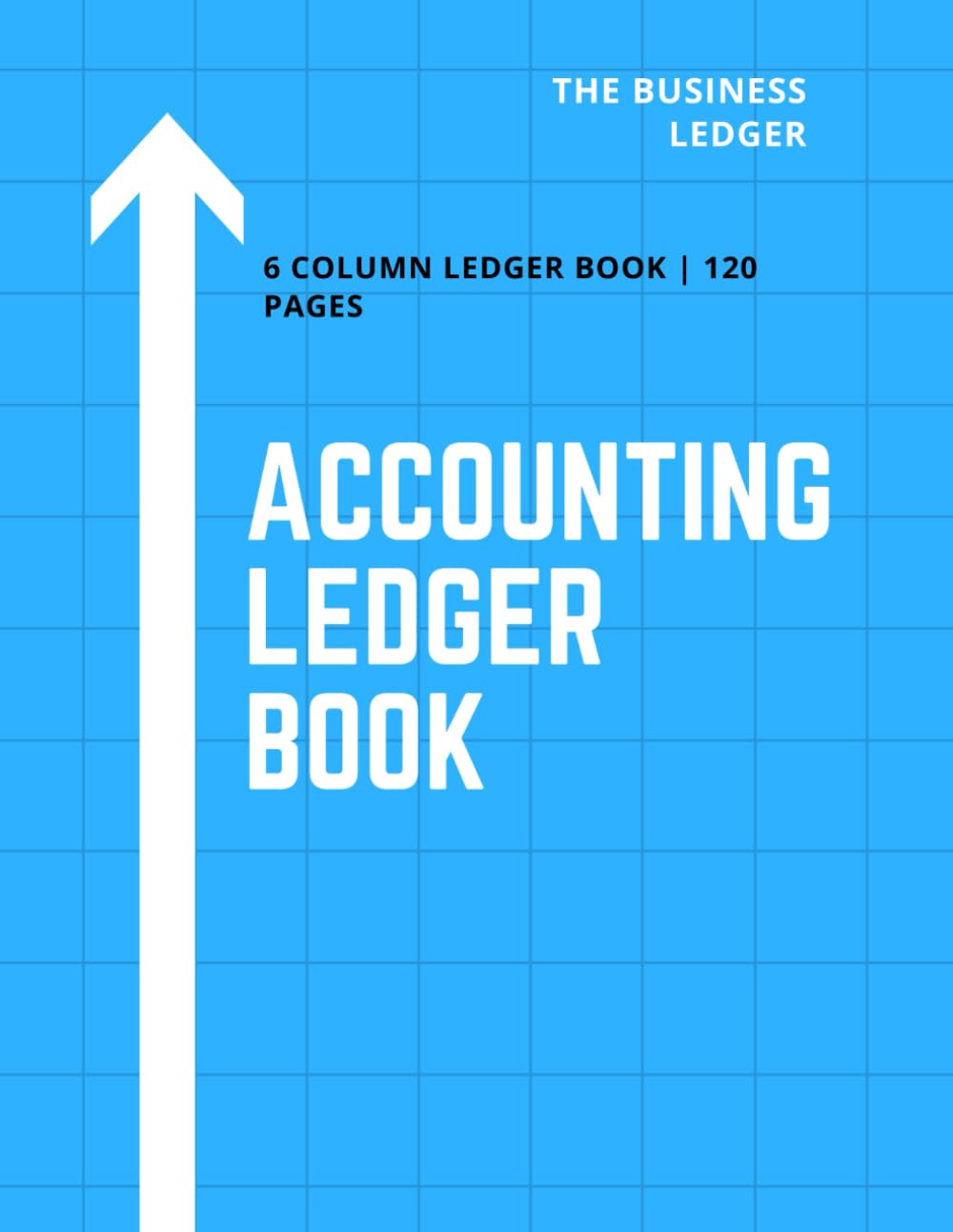 Accounting Ledger Book: Accounting Ledger for Small Business and Personnel Financial Planning 8.5 X 11 baixar livro de graça