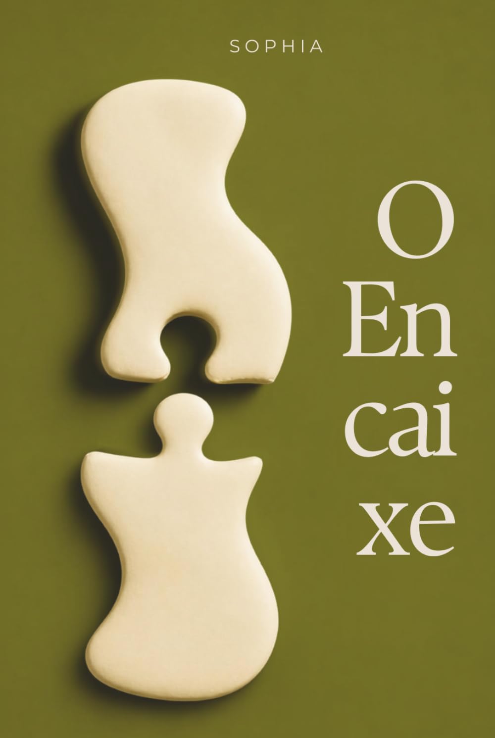 capítulo por capítulo baixar O Encaixe (Portuguese Edition)